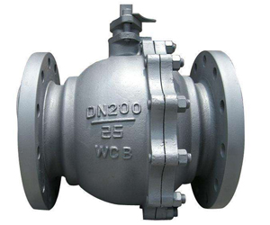 ball valve (4)