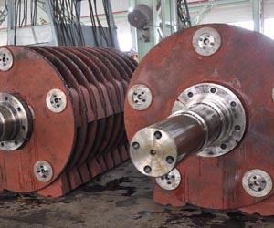Rotor for crusher
