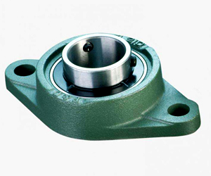 bearing bracket (1)